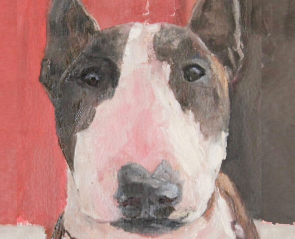 tenacitydog