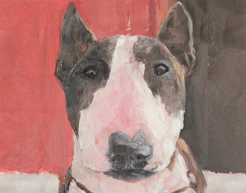 Bull Terrier